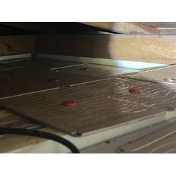 東京都世田谷区ネズミ駆除の画像1