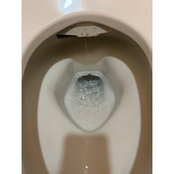 トイレ詰まり除去の画像1