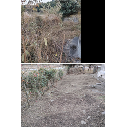 2025年末ラスト4作業！【年末カウントダウン連続投稿】〜群馬高崎の植木屋ゆうさんブログ〜の画像2