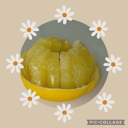 土佐文旦🍊の画像1
