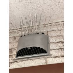 佐賀県鳥栖市　コウモリ対策の画像2