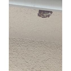 アシナガバチの駆除をしました。の画像2