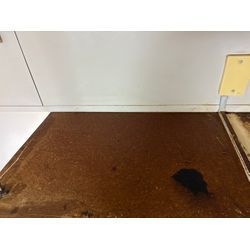 キッチンクリーニング！の画像1