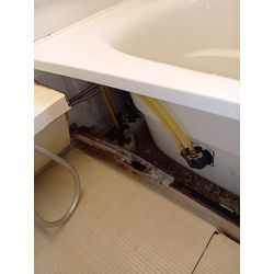 お風呂のチョウバエ除去もお任せ下さい。の画像2