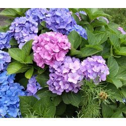 エアコン3台クリーニングの画像1