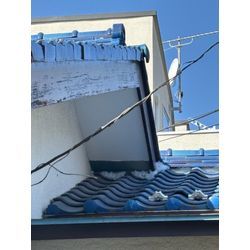 文京区鼠駆除の画像1