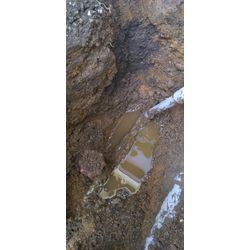 やっと見つけたの画像3