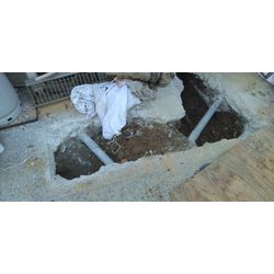 やっと見つけたの画像2