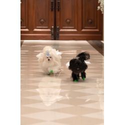 リングドッグ　2頭で可愛く走りましたの画像3