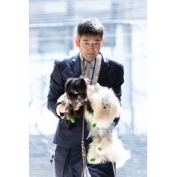 リングドッグ　2頭で可愛く走りましたの画像2