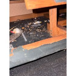 年末年始の害獣トラブルぜひペスコンproにご依頼を！の画像2