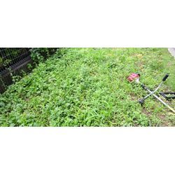 梅雨の中休みの画像1