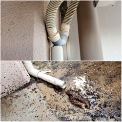 エアコンのドレン配管から😡ヘドロ❗❗　洗浄中に溢れてきました・・・の画像1