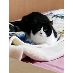 暑さに負けてますの画像1