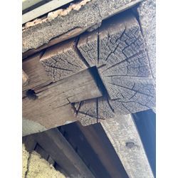 世田谷区ネズミ駆除の画像1