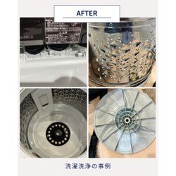 洗濯機の汚れが見えるけど掃除できないの画像3