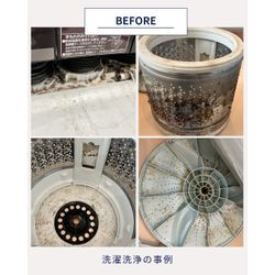 洗濯機の汚れが見えるけど掃除できないの画像2