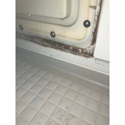 【カビの温床】の画像1