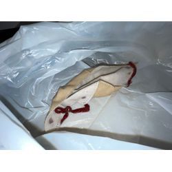 豊島区でドラム式洗濯機の詰まり除去に行ってきました！の画像2