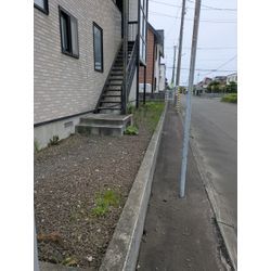 木と草2の画像1