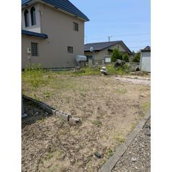 木と草2の画像2