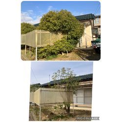 空き家の管理もお任せくださいの画像2