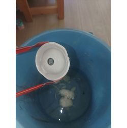 東海市　トイレ詰まり抜きの画像2