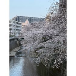 【4月スタート！】の画像2