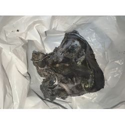 厚木市 TOSHIBA ドラム式洗濯機 C1エラー！の画像1