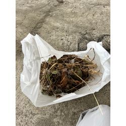 11月もご依頼ありがとうございました‼️の画像3