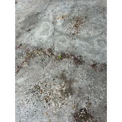 11月もご依頼ありがとうございました‼️の画像1