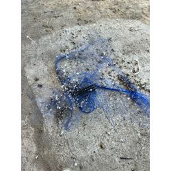 11月もご依頼ありがとうございました‼️の画像2