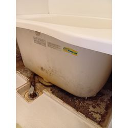 亀戸・賃貸お風呂エプロン内クリーニングの画像1