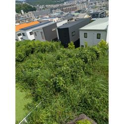 草刈り＋防草シートの画像1