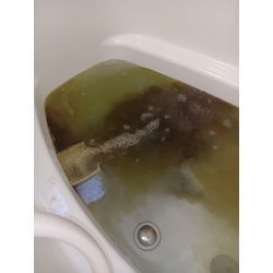 お風呂クリーニングの画像1