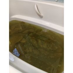 お風呂クリーニングの画像2