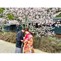 桜の和装ブライダル撮影の画像2