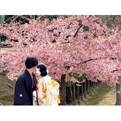 桜の和装ブライダル撮影の画像3