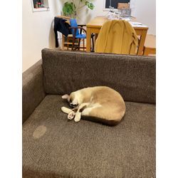 ☆開業171日目☆の画像3