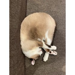 ☆開業171日目☆の画像1