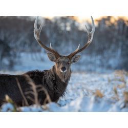 最東端の根室への画像1