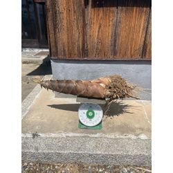 糸島daysの画像1