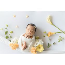 ８月ご予約に関しての画像1