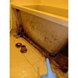 お風呂エプロン内洗浄＋トイレクリーニングの画像1