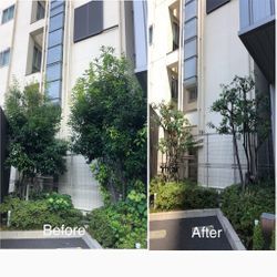 マンション植栽もスッキリ美しく！管理の行き届いた空間への画像1