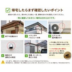 ゴールデンウィークの連泊後は要注意の画像1