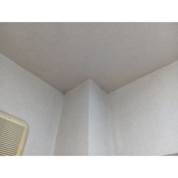 賃貸退去の壁紙カビ除去クリーニングの画像2