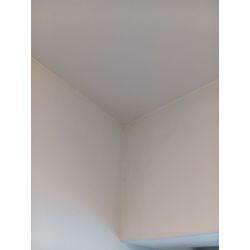 賃貸退去の壁紙カビ除去クリーニングの画像3