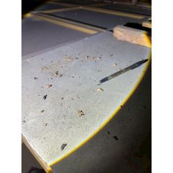 寒くても害獣たちは冬眠しません！の画像2