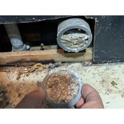 キラキラボール（雑居ビルの排水つまり）の画像2